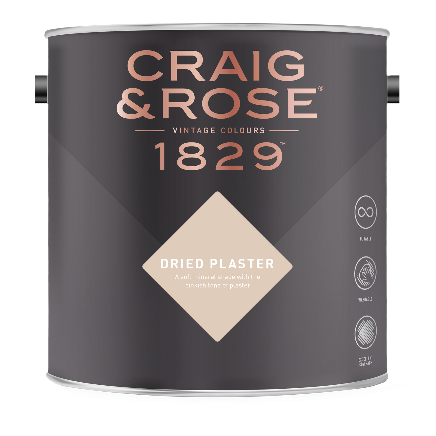 Dried Plaster